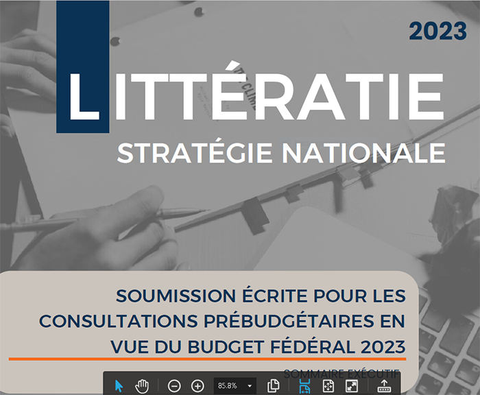 Couverture du rapport sur la stratégie nationale d'alphabétisation